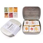 Csy Art Supplies Kit de peinture aquarelle faite à la main – 6 demi-godets de couleurs métalliques à paillettes solides – Étui en métal pour artistes, étudiants et amateurs