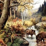 QHZCJ À Peindre avec des Chiffres Sanglier Peinture Numéro Adulte Peint à la Main Peinture Murale Chiffon Peinture Salon Décoration Peinture 40x50cm (sans Cadre)