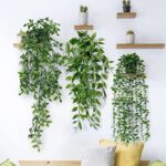 Betylifoy Plante Artificielle 3 Pièces Tombante Feuilles D'eucalyptus avec Pots 63cm de Long Lierre Artificiel sans Entretien pour la Maison Jardin Intérieur Décoration Extérieure (Eucalyptus)