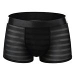 DGKaxiyaHMBoxer Transparent pour Hommes sous-vêtement Respirant en Maille de Soie glacée Caleçon Boxeur Jacquard Transparent Taille Moyenne