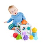 Diealles Shine Jeux Montessori Bébé 18 Mois, Trieur de Forme Bebe Jouet 18 Mois, Poubelle Sensorielle Bebe Montessori, Jouets Sensoriels pour Les Tout-Petits de 1 à 3 Ans