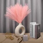 GEFIRE 30 Pièces Pampa Rose Fleurs Séchées Herbe de la Pampa Fleur Sechees Naturel Décoration Fleur Sechees, Pampa pour Mariage Maison Décor Bohème Salon