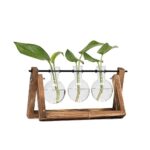Hyindoor Vases Ampoule en Verre Vase Vintage avec Support en Bois et Métal Tige Rotatif pour Plantes Hydroponiques Pot de Fleurs pour décoration de Bureau o Maison(3 Terrarium)