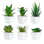 Ouddy Daily 6 Pièces de Plantes Succulentes Artificielles en Pot, Plantes Succulentes Artificielles Vertes, Utilisées pour Le Bureau, Le Salon et La Décoration de La Maison