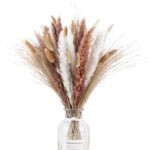 Pampa - Fleurs Séchées - Décoration De Bouquet De Fleurs Séchées Naturelles - 65 Pièces - Décoration Intérieur -QUALITÉ Garantie