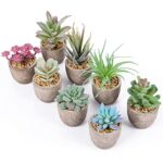 Succulentes Artificielles,8pcs, Interieur, Petite Fausses Plantes Vertes Décoration, Grasses en Pot