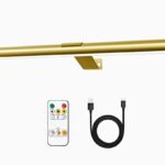 TINTINDOC Lampe Murale à Télécommande，Image Lampe LED sans fil, batterie rechargeable, pour des œuvres d'art, luminosité de 300 lumens, réglable, pour la fresque et les fléchettes avec corps en métal