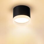 URing Plafonnier LED Spot plafond 6W 3000K Blanc Chaud, LED Spots en saillie Plafonnier Luminaire GX53 600LM, Ronde Lampe de Plafond 230V Downlight avec anneau acrylique pour salon chambre, Noir