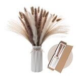 Wemk Pampa Séchées Naturelle Décoration 44 Pcs avec Vase Inclus, Fleurs Séchées de 42cm, Bouquet de Fleurs séchées pour Boho Mariage, Chambre, Anniversaireb, Déco Intérieur
