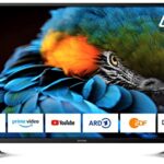 DYON Smart 43 XT Téléviseur 108 cm (43 Pouces) (Smart TV Full-HD, Triple Tuner HD (DVB-C/-S2/-T2), Prime Video, Netflix, Youtube & HbbTV, WLAN, Mode hôtel), Noir
