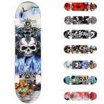 WeSkate 3108-1 Skateboard Mixte